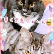 ヒメ日記 2025/07/04 07:59 投稿 本間 鶯谷デッドボール