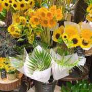 ヒメ日記 2025/07/17 17:04 投稿 本間 鶯谷デッドボール