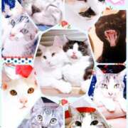 ヒメ日記 2025/09/01 11:09 投稿 本間 鶯谷デッドボール