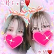 ヒメ日記 2025/09/14 11:49 投稿 本間 鶯谷デッドボール