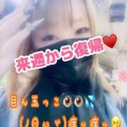 ヒメ日記 2025/11/13 16:59 投稿 本間 鶯谷デッドボール