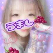 ヒメ日記 2025/11/26 11:49 投稿 本間 鶯谷デッドボール