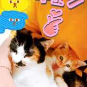 ヒメ日記 2025/11/29 11:05 投稿 本間 鶯谷デッドボール