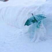 ヒメ日記 2025/12/04 16:59 投稿 本間 鶯谷デッドボール