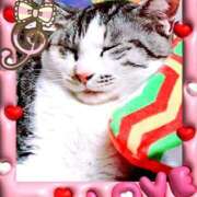 本間 ♥️おはょ～♥️ 鶯谷デッドボール