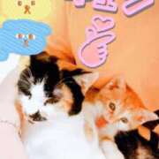 ヒメ日記 2026/01/13 11:39 投稿 本間 鶯谷デッドボール