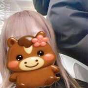 ヒメ日記 2026/01/16 10:29 投稿 本間 鶯谷デッドボール