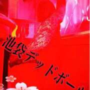 ヒメ日記 2026/01/24 11:02 投稿 本間 鶯谷デッドボール