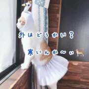 ヒメ日記 2026/01/28 10:39 投稿 本間 鶯谷デッドボール