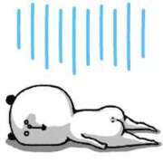 本間 6日～10日まで 鶯谷デッドボール