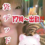 ヒメ日記 2026/05/02 08:05 投稿 本間 鶯谷デッドボール