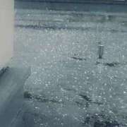ヒメ日記 2026/07/31 13:45 投稿 本間 鶯谷デッドボール