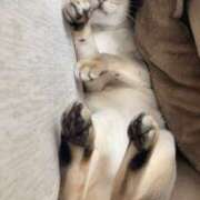 ヒメ日記 2024/12/20 07:24 投稿 まゆ★ レースクィーン