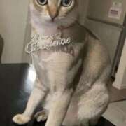 ヒメ日記 2025/01/02 16:44 投稿 まゆ★ レースクィーン