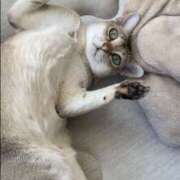 ヒメ日記 2025/02/23 15:48 投稿 まゆ★ レースクィーン