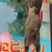 ヒメ日記 2025/02/24 18:41 投稿 まゆ★ レースクィーン