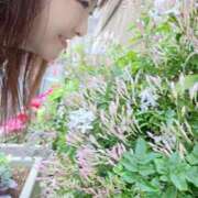 ヒメ日記 2025/04/30 08:46 投稿 まゆ★ レースクィーン