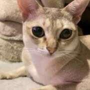 ヒメ日記 2025/04/30 18:16 投稿 まゆ★ レースクィーン