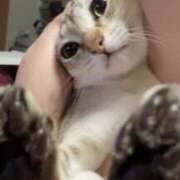 ヒメ日記 2025/05/03 08:48 投稿 まゆ★ レースクィーン