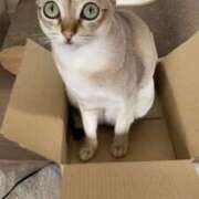 ヒメ日記 2025/05/07 12:03 投稿 まゆ★ レースクィーン