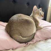 ヒメ日記 2025/05/14 09:10 投稿 まゆ★ レースクィーン