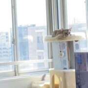 ヒメ日記 2025/06/18 14:18 投稿 まゆ★ レースクィーン