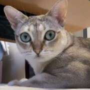 ヒメ日記 2025/07/08 07:49 投稿 まゆ★ レースクィーン