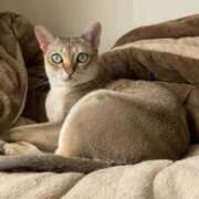 ヒメ日記 2025/07/14 08:51 投稿 まゆ★ レースクィーン