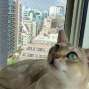 ヒメ日記 2025/08/02 13:06 投稿 まゆ★ レースクィーン