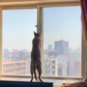 ヒメ日記 2025/08/09 19:59 投稿 まゆ★ レースクィーン