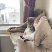 ヒメ日記 2025/08/13 17:07 投稿 まゆ★ レースクィーン