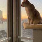 ヒメ日記 2025/08/16 19:17 投稿 まゆ★ レースクィーン