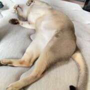 ヒメ日記 2025/08/23 12:29 投稿 まゆ★ レースクィーン