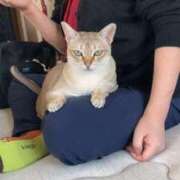 ヒメ日記 2025/10/29 09:07 投稿 まゆ★ レースクィーン