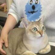 ヒメ日記 2025/12/22 08:52 投稿 まゆ★ レースクィーン