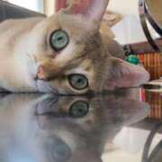 ヒメ日記 2025/12/27 10:03 投稿 まゆ★ レースクィーン