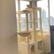 ヒメ日記 2026/01/02 08:33 投稿 まゆ★ レースクィーン