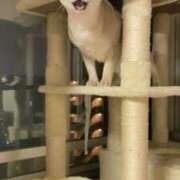 ヒメ日記 2026/01/04 12:54 投稿 まゆ★ レースクィーン