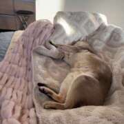 ヒメ日記 2026/01/12 10:52 投稿 まゆ★ レースクィーン