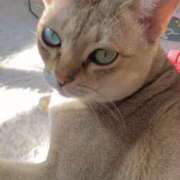 ヒメ日記 2026/01/16 10:05 投稿 まゆ★ レースクィーン