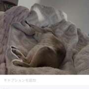 ヒメ日記 2026/01/23 09:13 投稿 まゆ★ レースクィーン