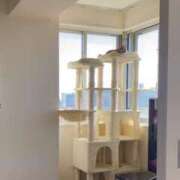 ヒメ日記 2026/02/03 13:30 投稿 まゆ★ レースクィーン