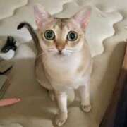 ヒメ日記 2026/02/11 08:47 投稿 まゆ★ レースクィーン