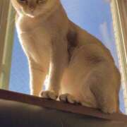 ヒメ日記 2026/02/13 08:53 投稿 まゆ★ レースクィーン