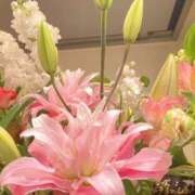 ヒメ日記 2026/02/21 16:05 投稿 まゆ★ レースクィーン