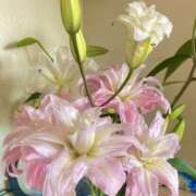 ヒメ日記 2026/02/28 10:19 投稿 まゆ★ レースクィーン