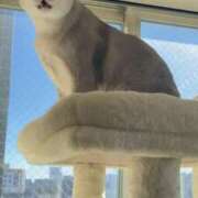 ヒメ日記 2026/03/08 12:08 投稿 まゆ★ レースクィーン