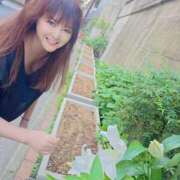 ヒメ日記 2026/04/01 08:50 投稿 まゆ★ レースクィーン