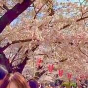 ヒメ日記 2026/04/02 09:00 投稿 まゆ★ レースクィーン