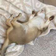 ヒメ日記 2026/04/02 22:44 投稿 まゆ★ レースクィーン